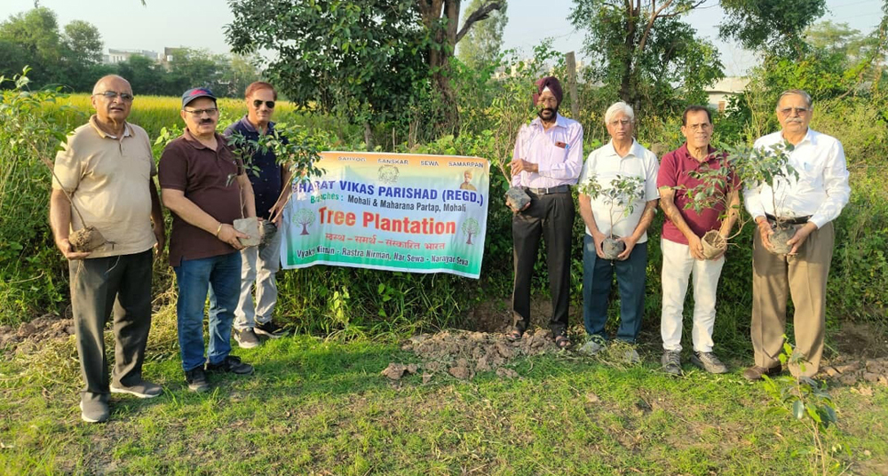Bharat Vikas Parishad planted saplings.